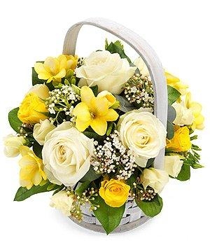 Shining  Basket