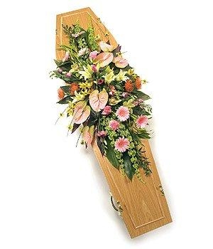 Pink Coffin Spray