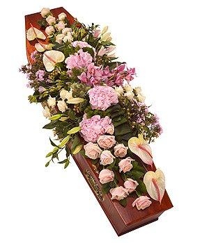 Pastel Coffin Spray