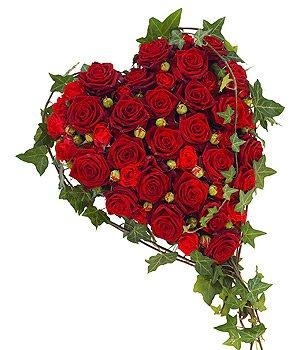Red Rose With a Ivy Edge Heart