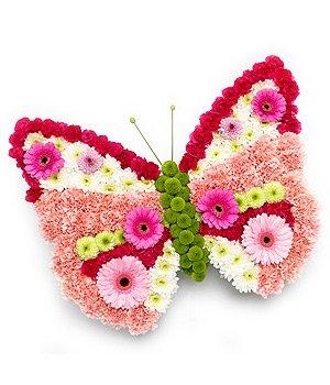 Butterfly Pink