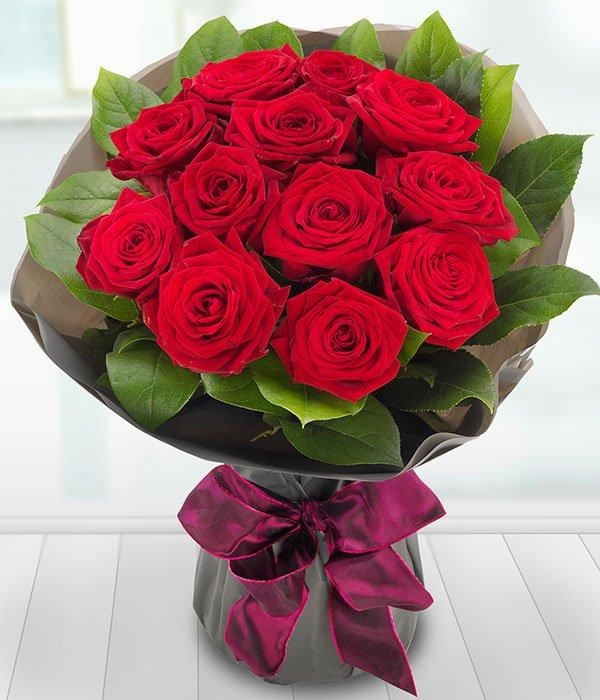 A Dozen Red Roses AQUA