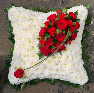 Foliage Edge Red and White Cushion