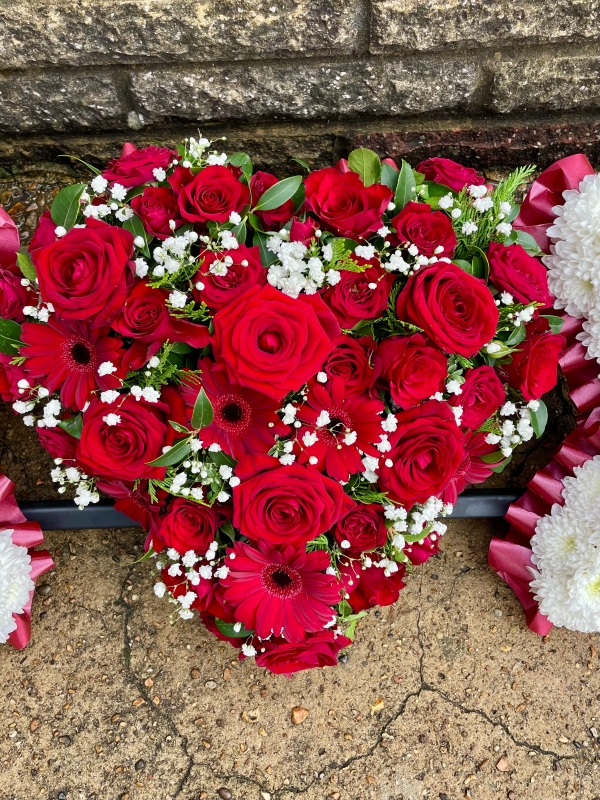 Kisses and Heart Tribute