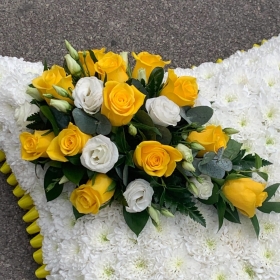 Yellow and White Cushion