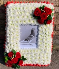 2ft Photo Frame