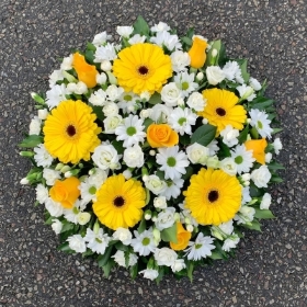 Gerbera Mix Posy Pad