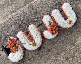 JUJU Letters