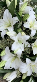 Lily Coffin Spray (other colours available)